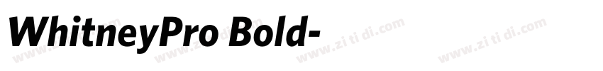 WhitneyPro Bold字体转换